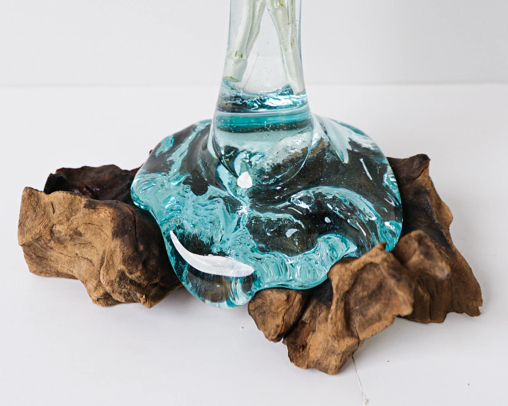 Blown Glass on Driftwood, Gamal, Molten Glass, Terrarium, Hand Blown Recycled Glass, Natural Piece, Housewarming Decor, Gift for Mother